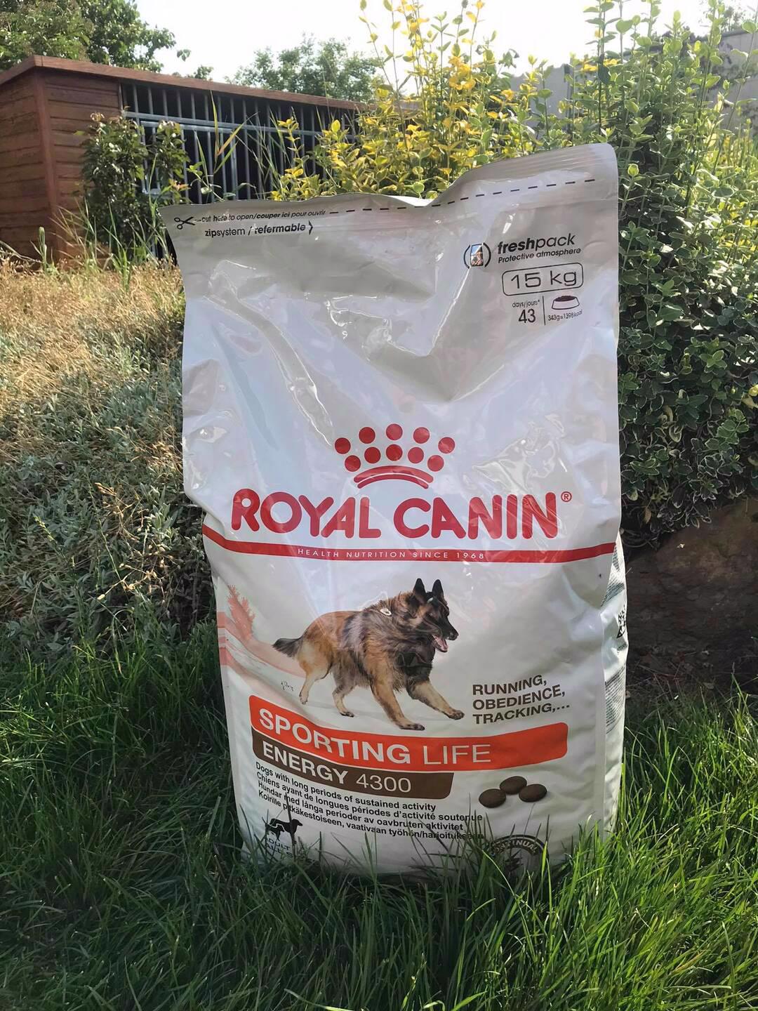 Royal Canin Sporting Life Trail 4300 15kg - foto 1