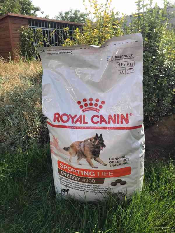 Royal Canin Sporting Life Trail 4300 15kg - foto 1