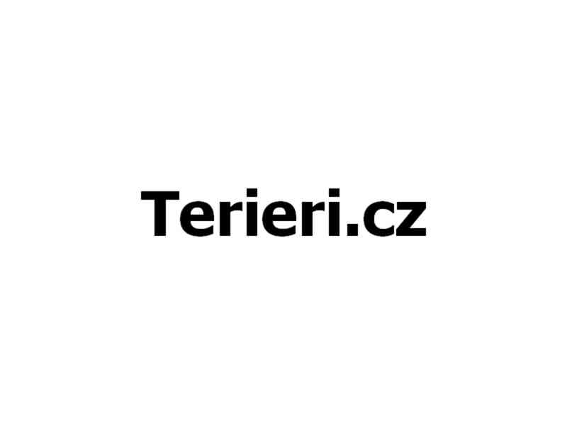 Terieri.cz