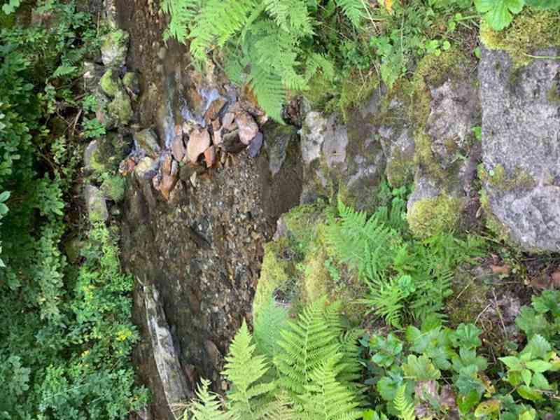 Byt 1+kk Dolní Rokytnice - foto 7