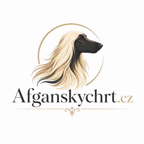 Afghanskychrt.cz + Afganskychrt.cz - domény na prodej - foto 4
