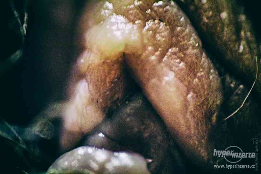 Umělecké abstraktní focení detailů vagíny - foto 11