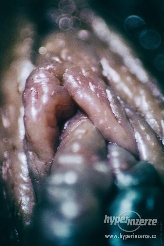 Umělecké abstraktní focení detailů vagíny - foto 20