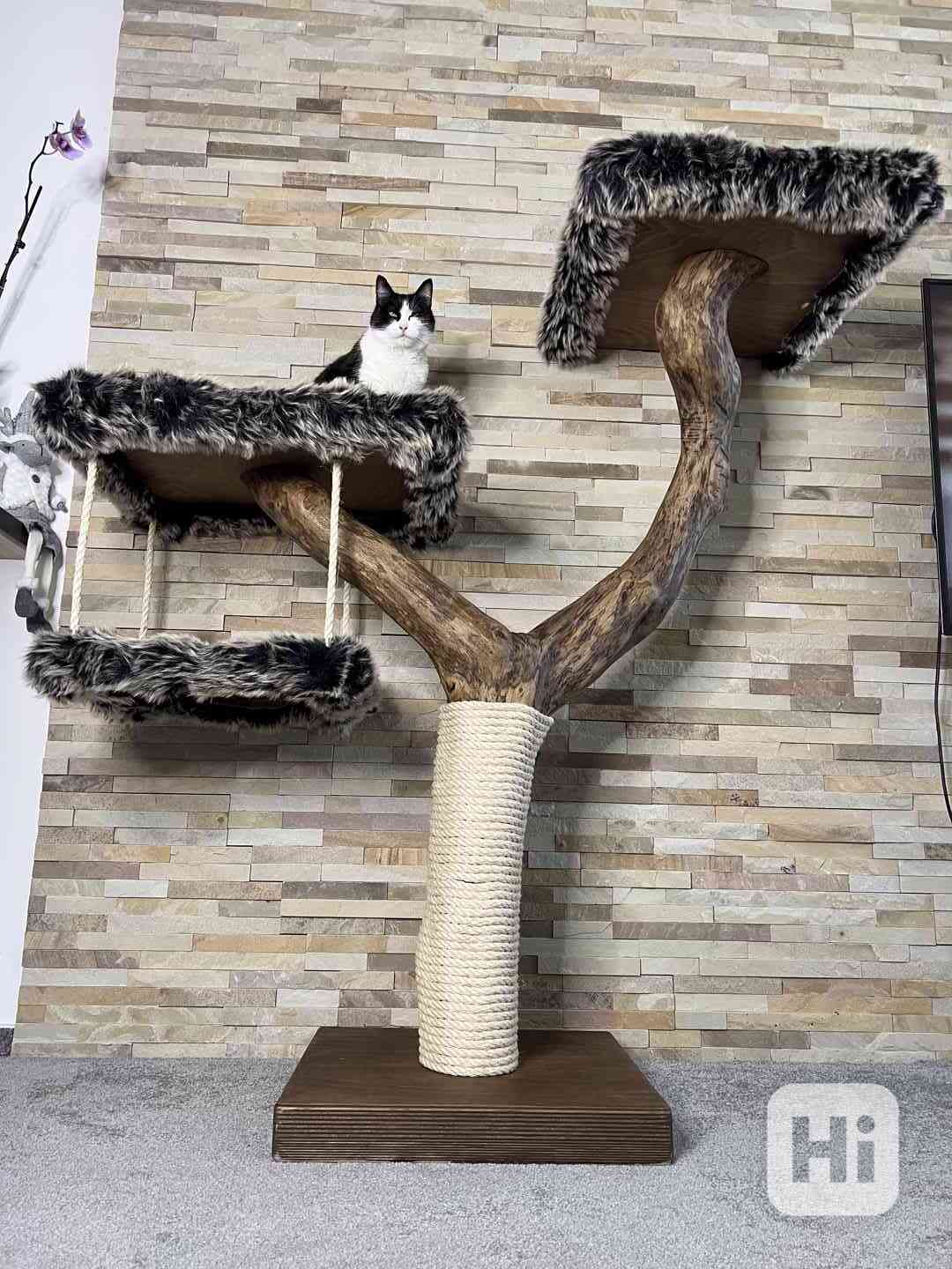 Škrabadlo pro kočky ze dřeva  - foto 1