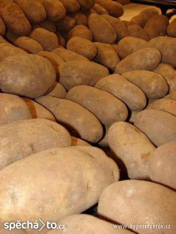 brambory konzumní na jídlo bio kvalita s dovozem - foto 1