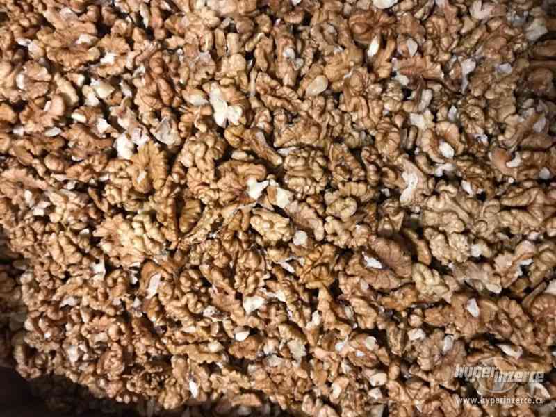 Prodám letošní loupané vlašské ořechy - foto 1