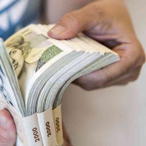 Finanční pomoc.    - foto 1