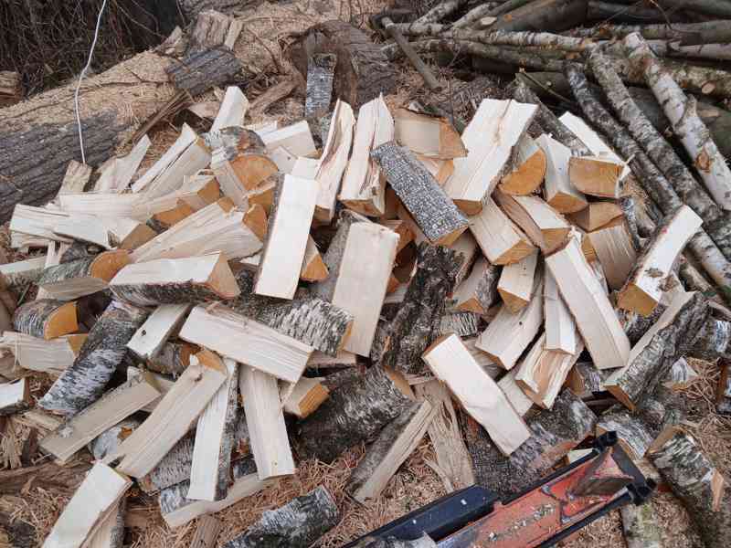 Palivové dřevo - foto 2