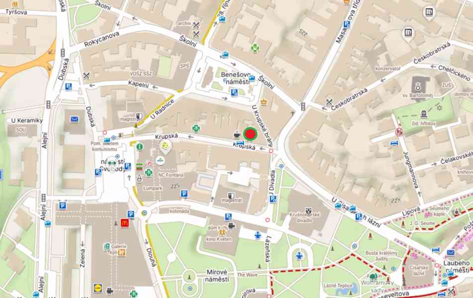 Pronájem prostorného podkrovního bytu 6+1, 171 m² – Krupská - foto 15