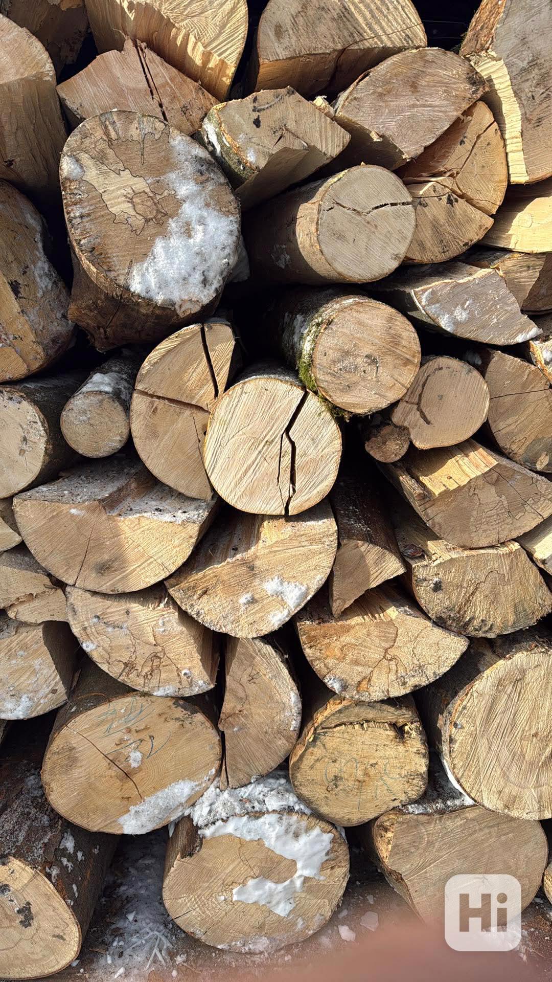 Palivové dřevo cena od 699,-kč z dopravou  - foto 1