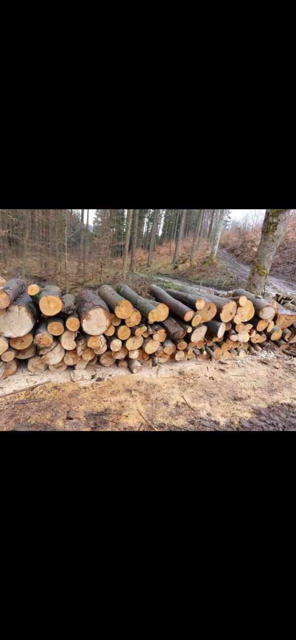 Palivové dřevo cena od 699,-kč z dopravou  - foto 7