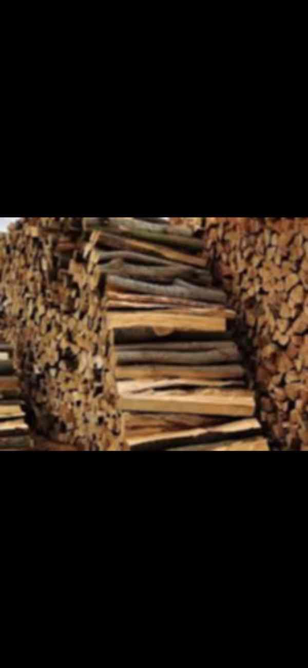 Palivové dřevo cena od 699,-kč z dopravou  - foto 6