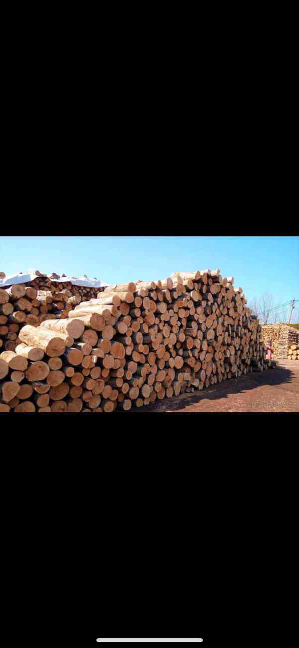 Palivové dřevo cena od 699,-kč z dopravou  - foto 2