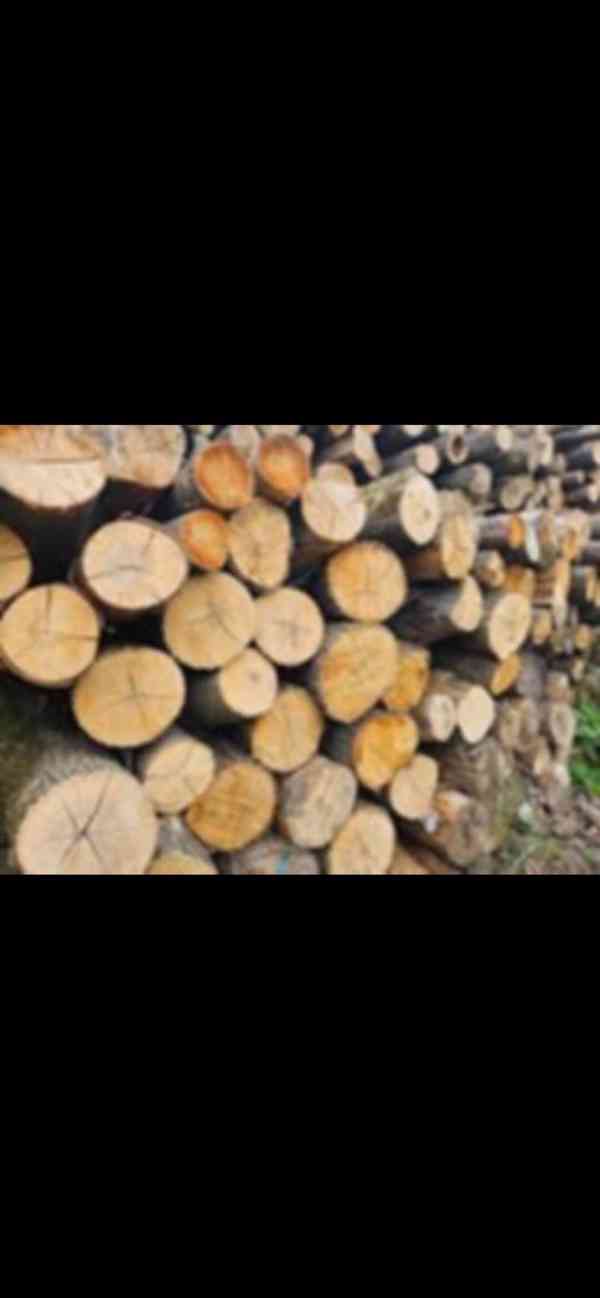 Palivové dřevo cena od 699,-kč z dopravou  - foto 4