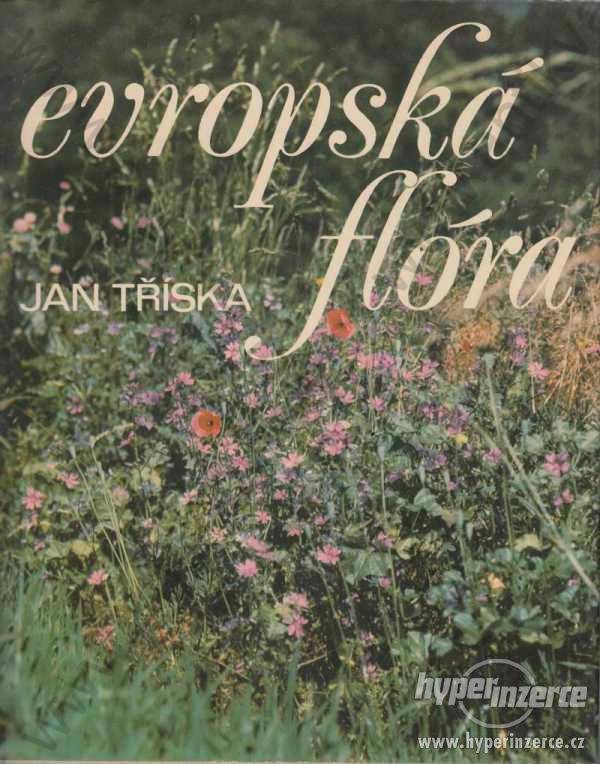 Evropská flóra Jan Tříska Artia, Praha 1979 - foto 1