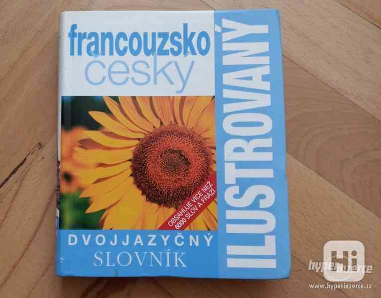 Francouzsko-český slovník ilustrovaný dvojjazyčný  - foto 1