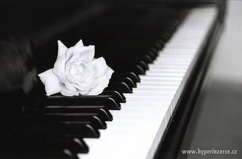 Poptávám klavír nebo pianino – platba hotově - foto 1