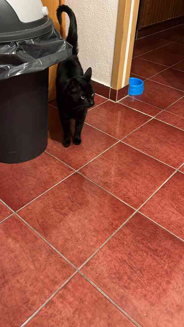 Najde přátele? - foto 4