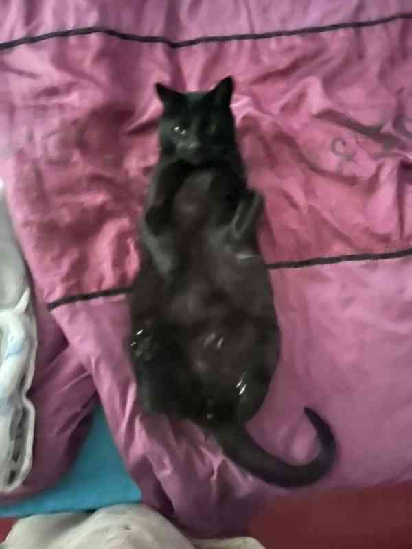 Najde přátele? - foto 5