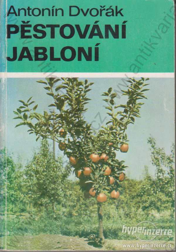 Pěstování jabloní  Antonín Dvořák 1980 - foto 1