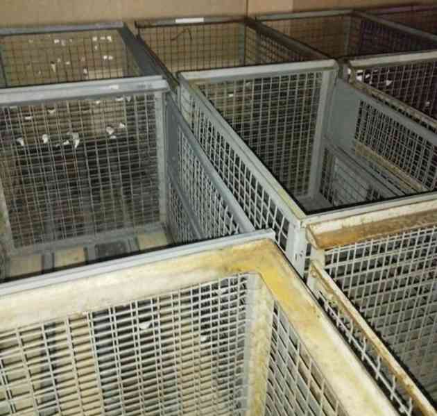 Gitterbox 1240x835x970 (13597.)  - foto 2