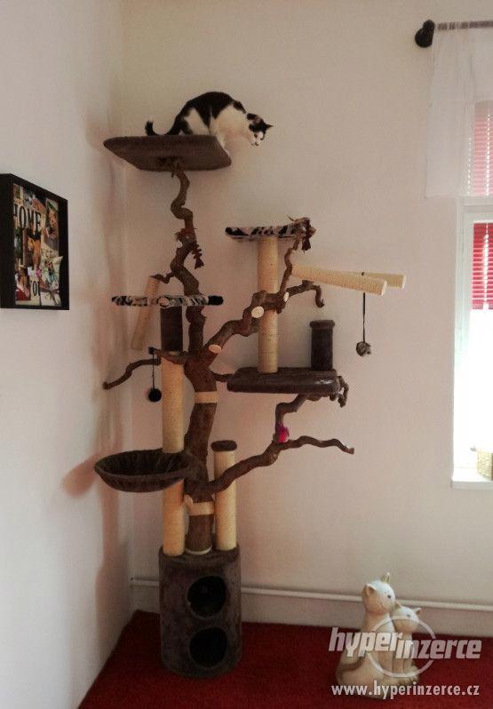 Kočičí strom (škrabadlo) - foto 1