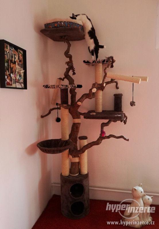 Kočičí strom (škrabadlo) - foto 3