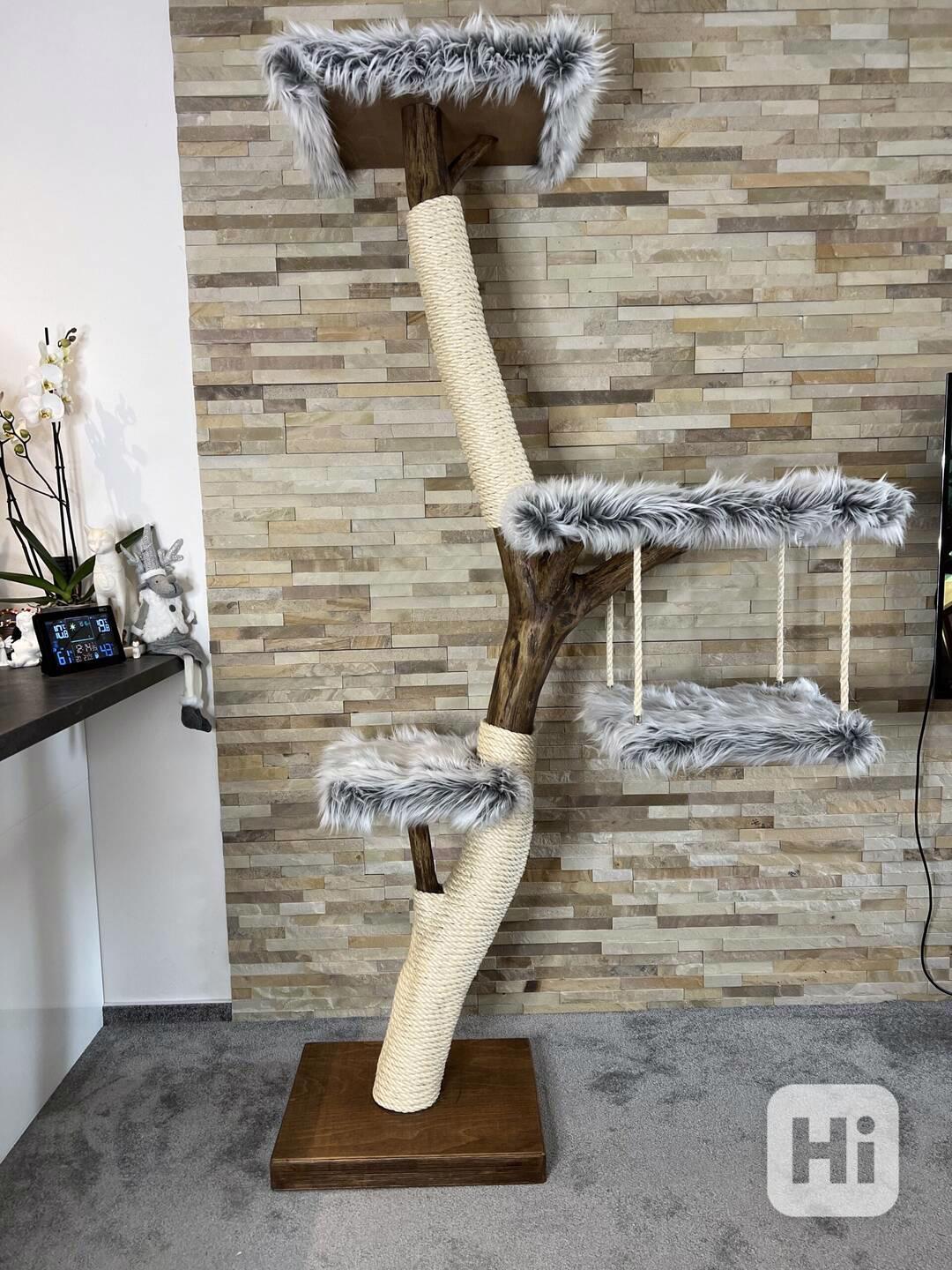 Kočičí strom - foto 1