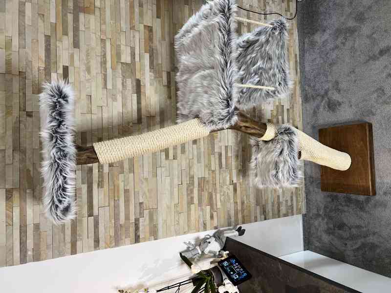 Kočičí strom - foto 3