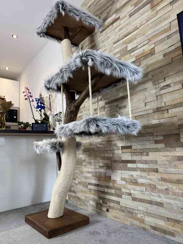 Kočičí strom - foto 2