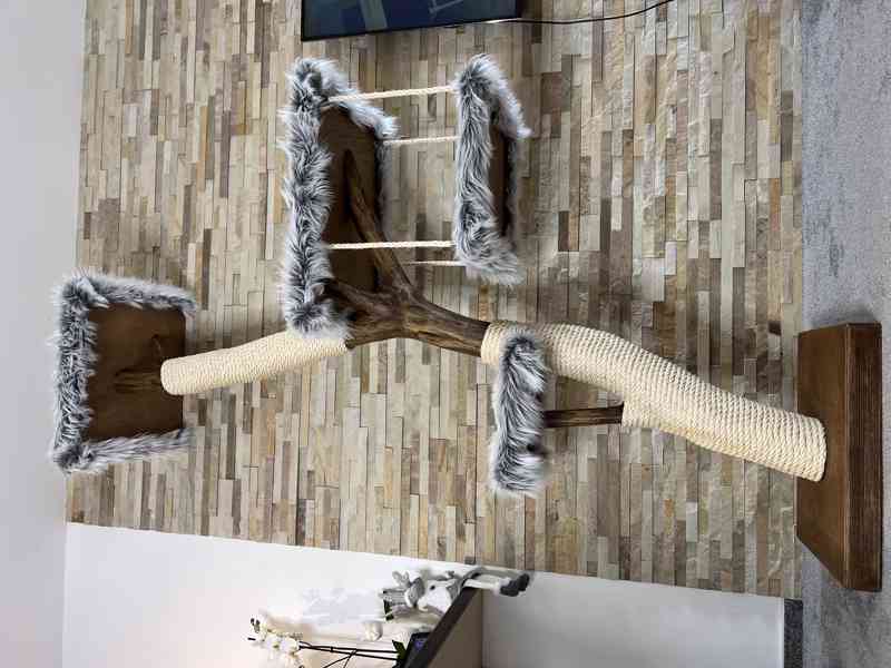 Kočičí strom - foto 4