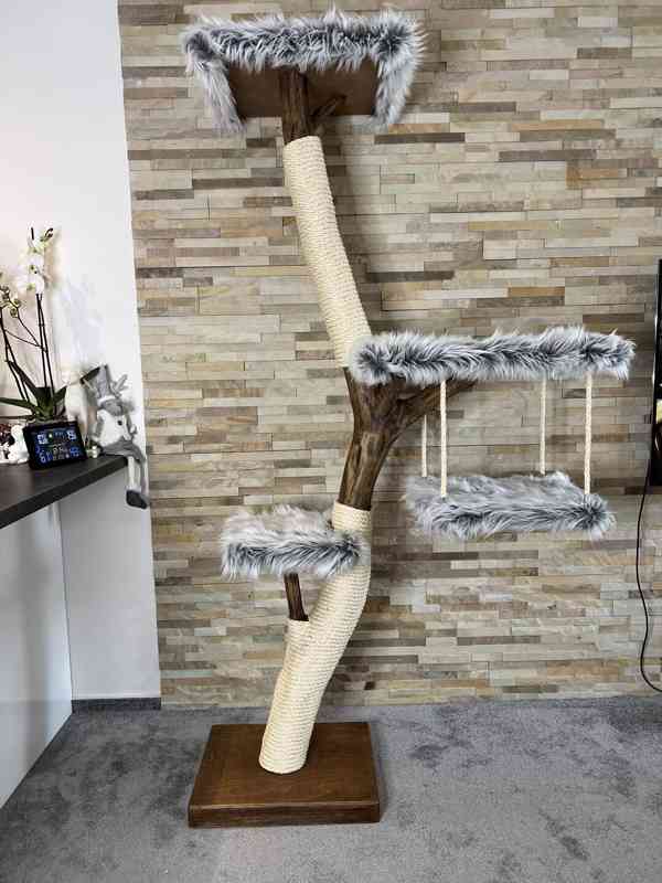 Kočičí strom - foto 1