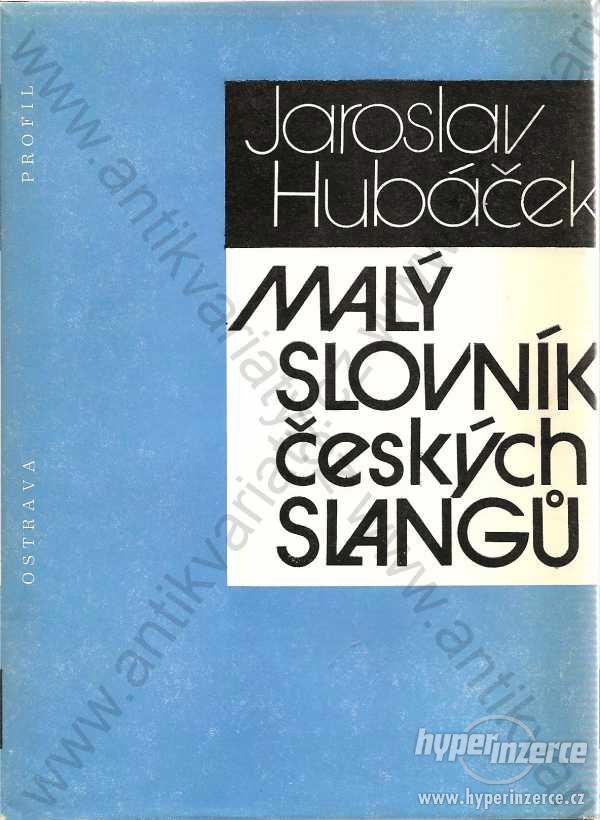Malý slovník českých slangů Jaroslav Hubáček 1988 - foto 1