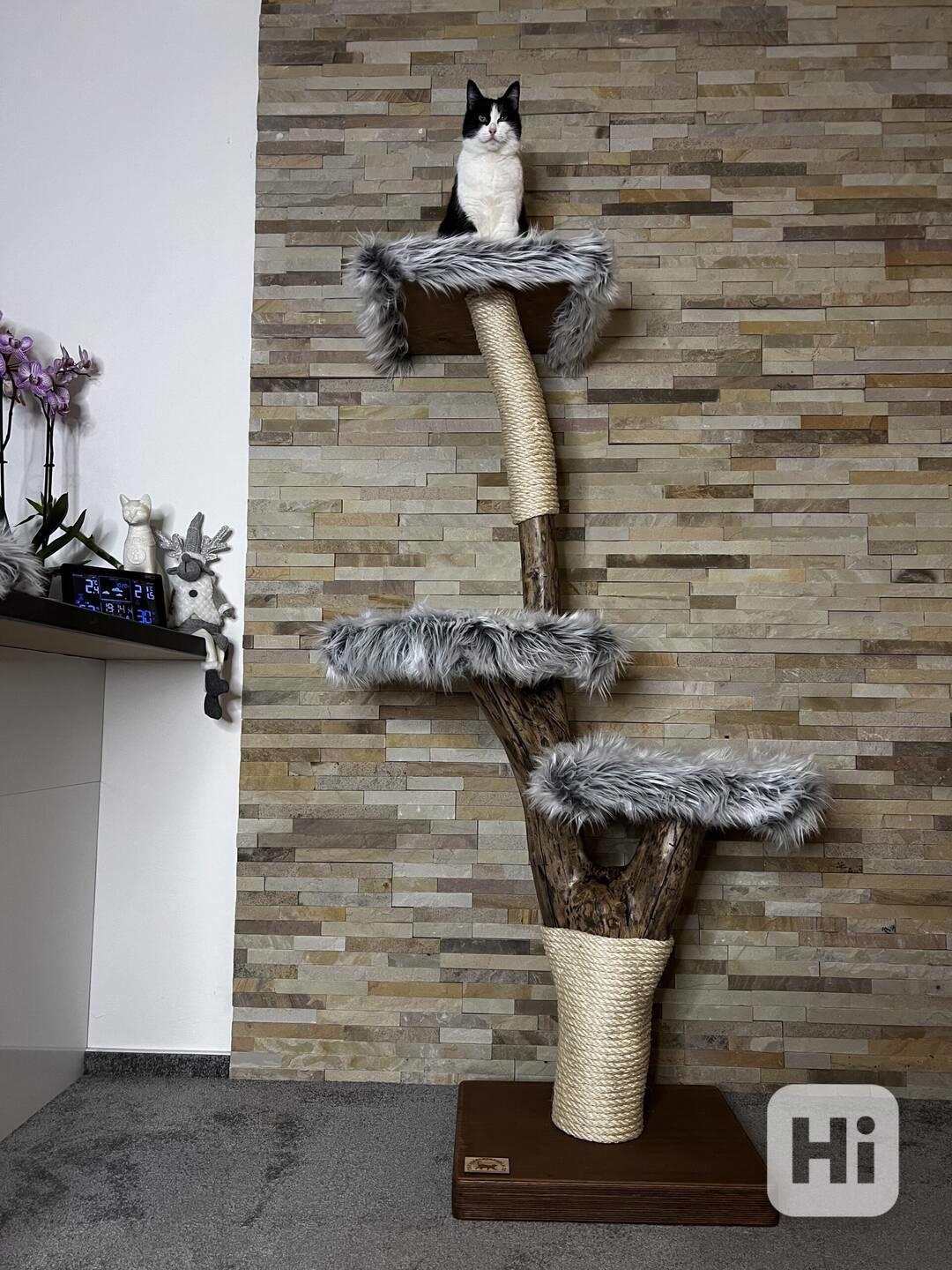 Škrabadla pro kočky  - foto 1