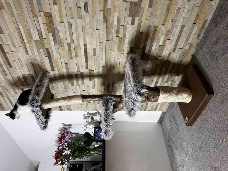 Škrabadla pro kočky  - foto 2