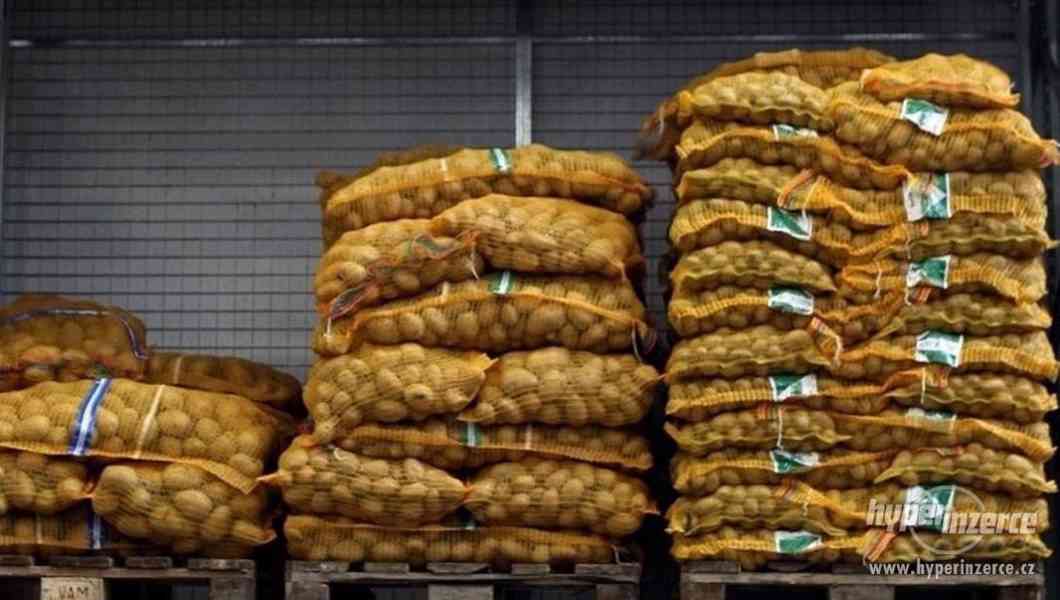 Prodej nových velice kvalitních brambor přímo z naš. statku - foto 1