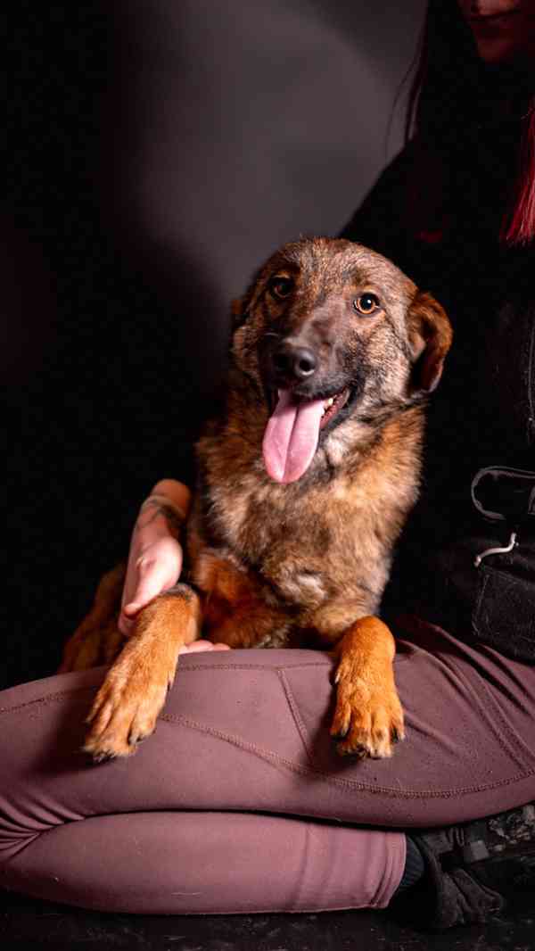 Kurt - hodný bojácnější chlapeček, kříženec, 10 měsíců - foto 2