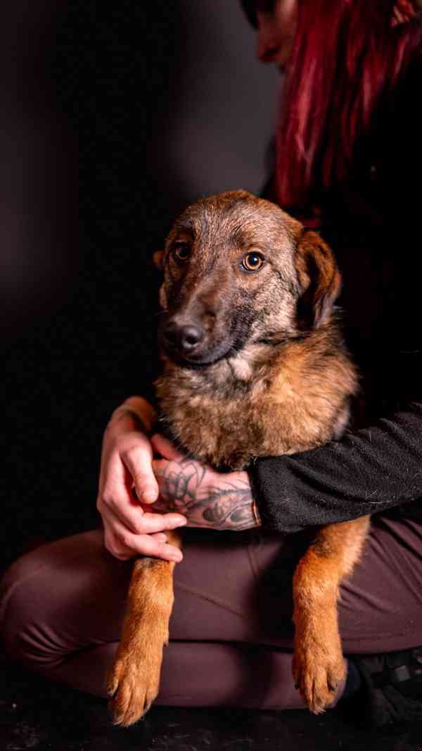 Kurt - hodný bojácnější chlapeček, kříženec, 10 měsíců - foto 3