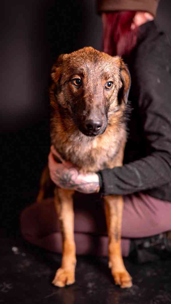 Kurt - hodný bojácnější chlapeček, kříženec, 10 měsíců - foto 4