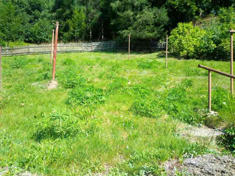 RD Steinbach,6 km od hranic, 700 m2 - foto 13
