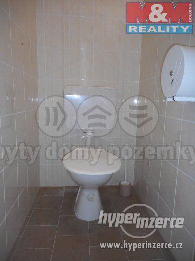 Prodej, kemp, 27 985 m2, Sadov - foto 10