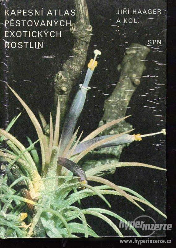 Kapesní atlas pěstovaných exotických rostlin 1982 1. vydání - foto 1