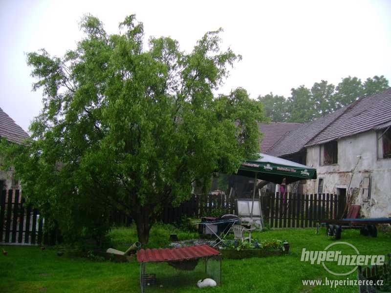Prodej usedlosti Jivno - foto 3