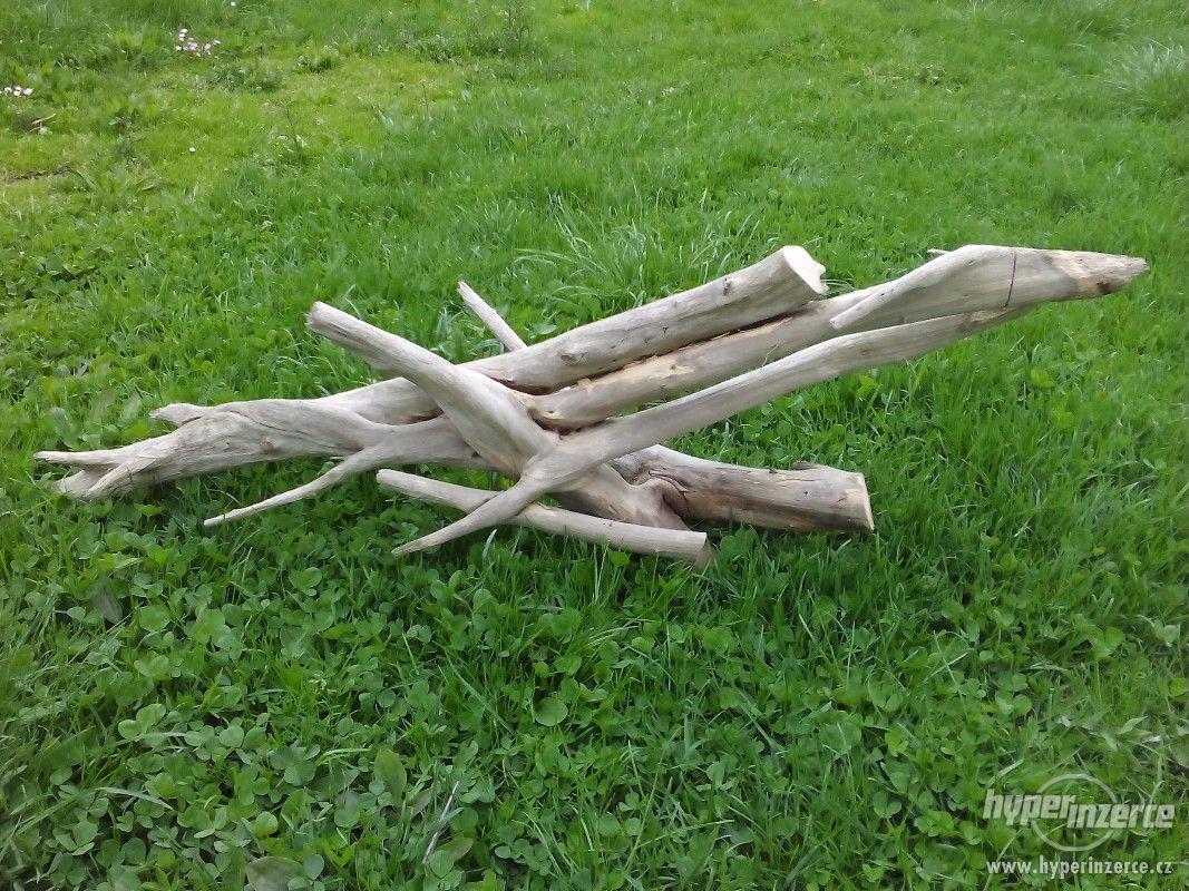 Kořeny a větve do terárií: - foto 1