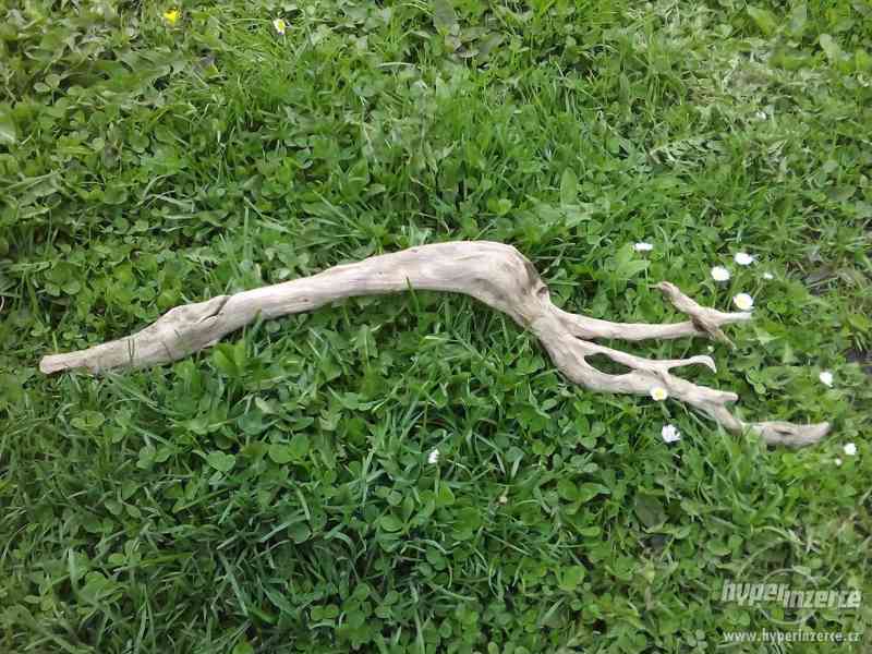 Kořeny a větve do terárií: - foto 4