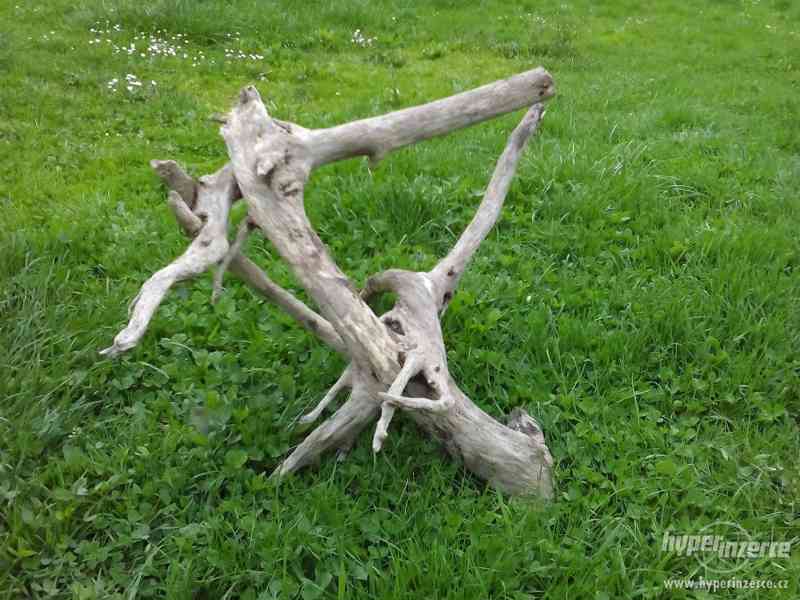 Kořeny a větve do terárií: - foto 5