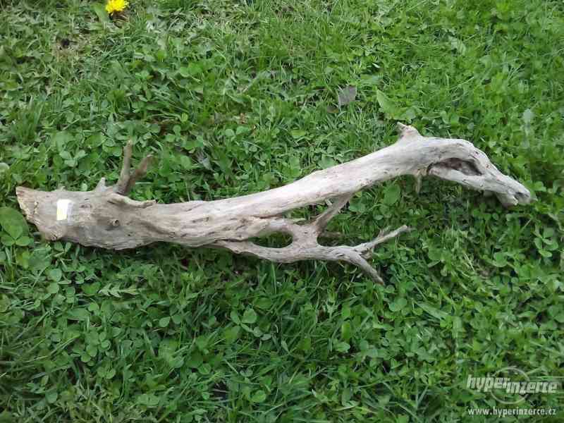 Kořeny a větve do terárií: - foto 8