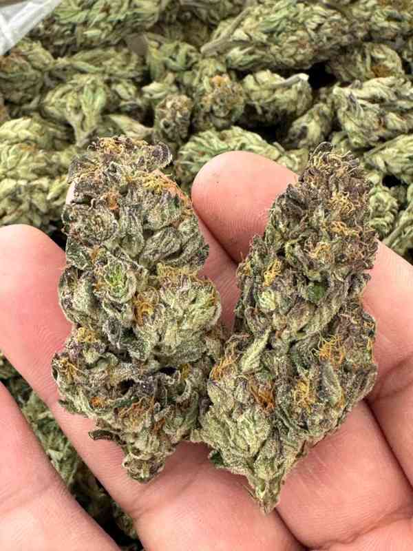 Telegram {@hakeemhanks53} Buy Cocaine in Madrid  - foto 3