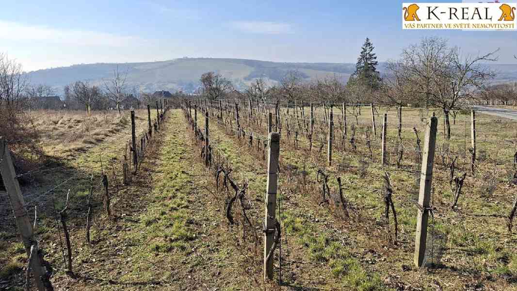 Prodej RD 5+kk Boršice, okr. Uherské Hradiště - foto 44