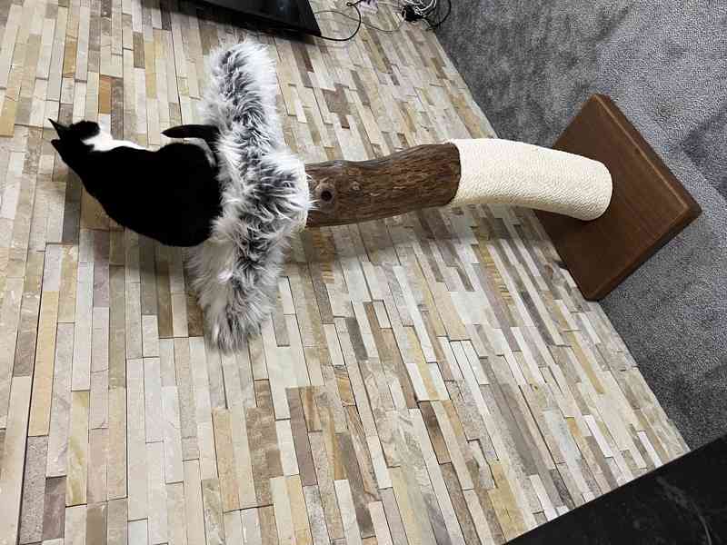 Škrabadla pro kočky  - foto 3